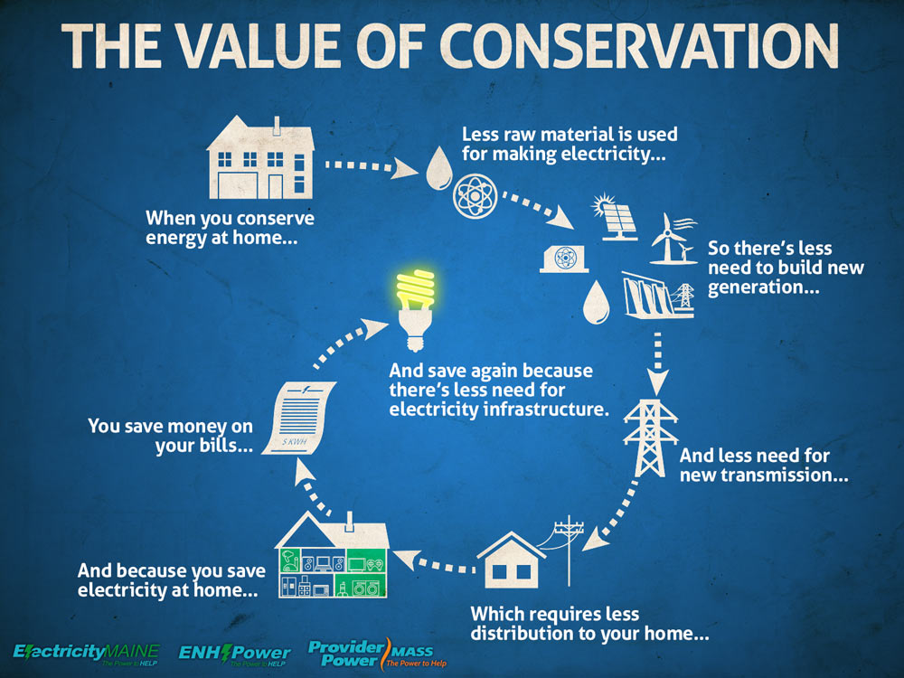 the-meaning-of-conservation-science