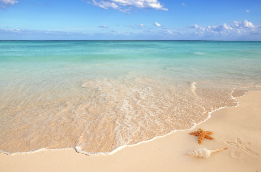 vacation - save energy on vacation