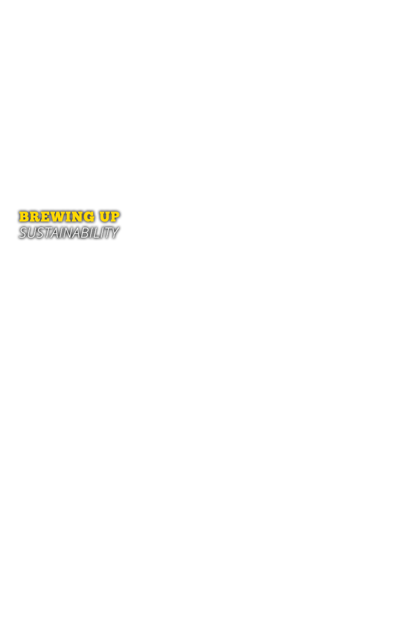 Brewing Up Sustainability